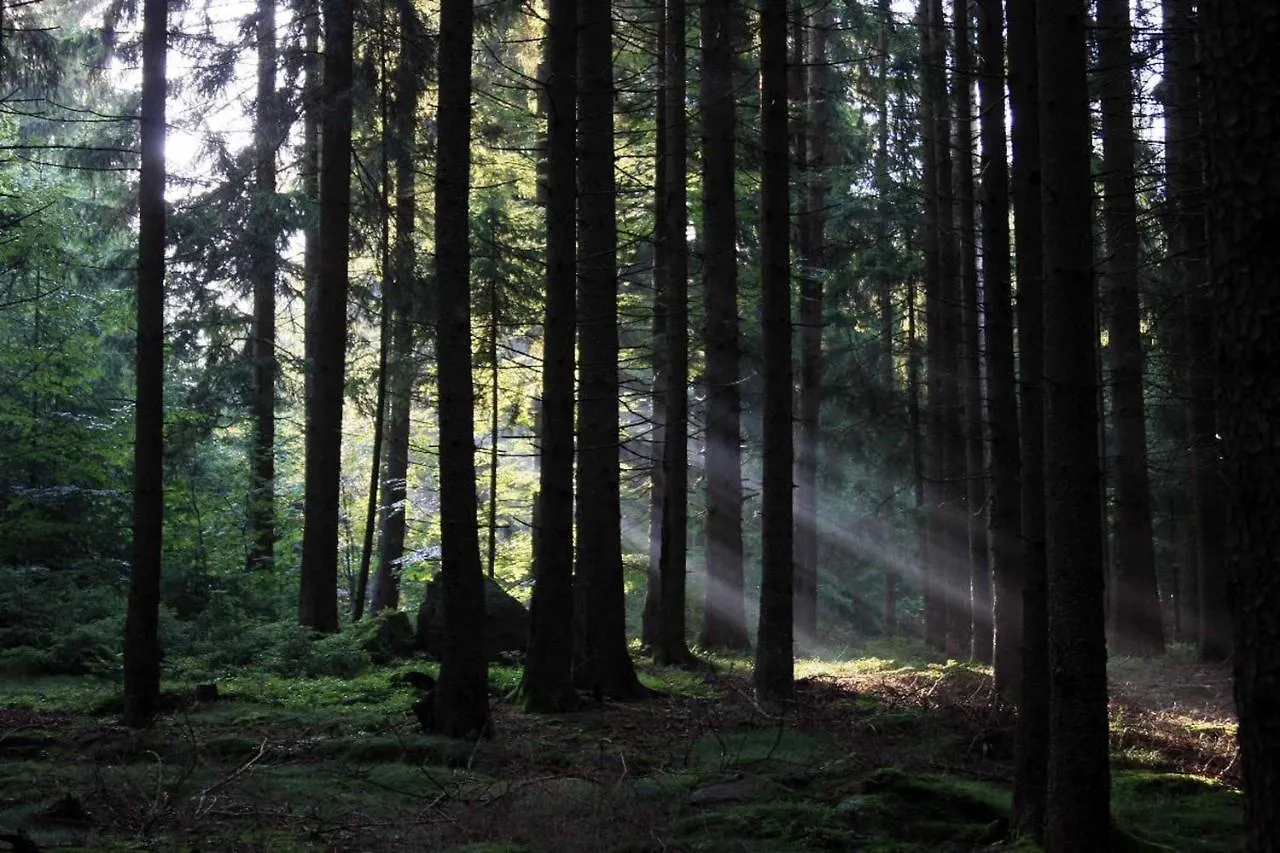 Ferienhaus Corinna Kirchdorf im Wald Niemcy