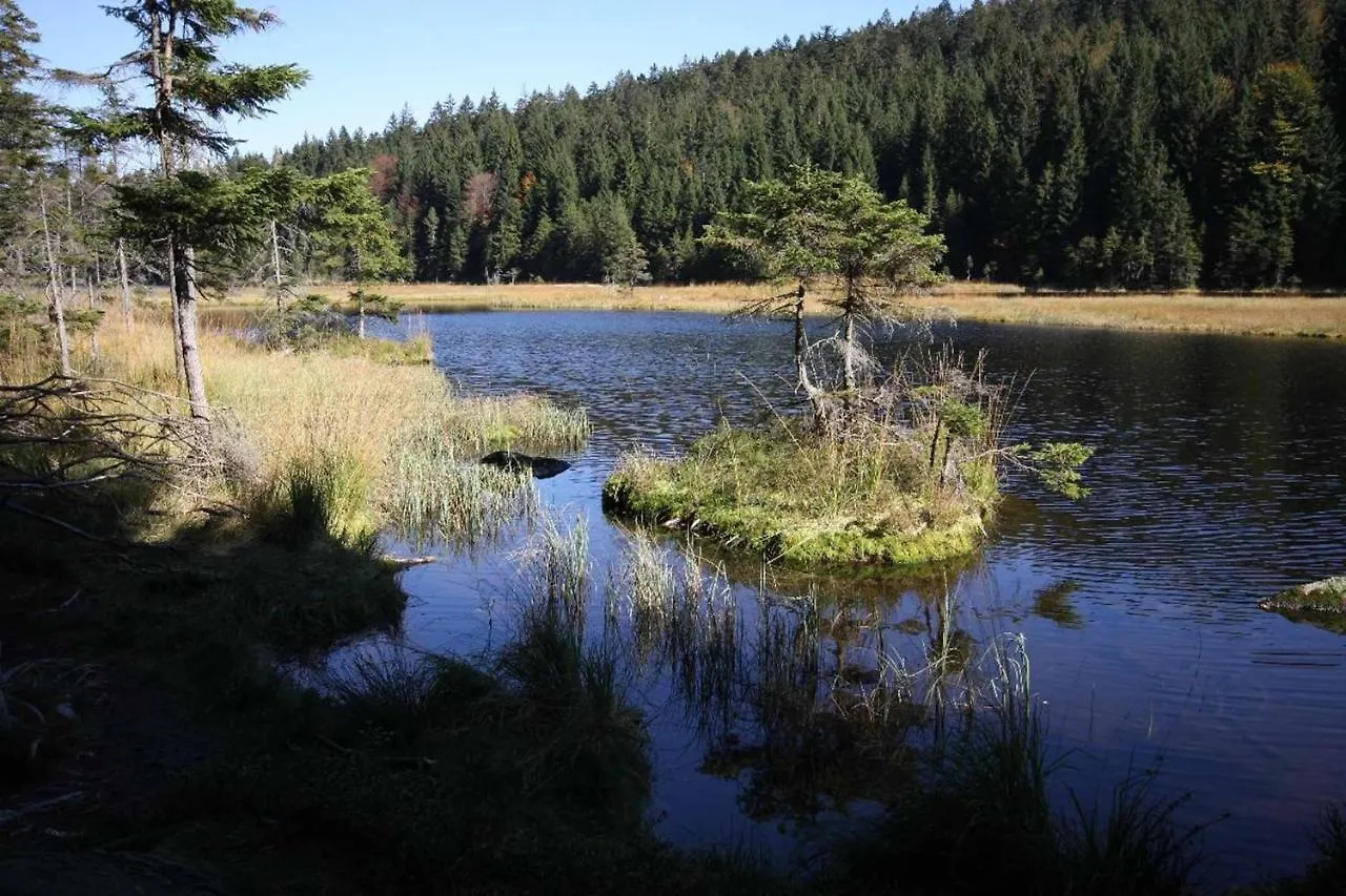 Pensjonat Ferienhaus Corinna Kirchdorf im Wald